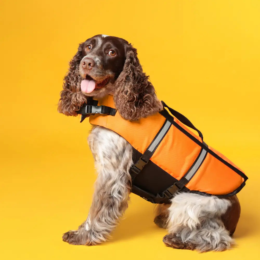 Redningsvest Hund