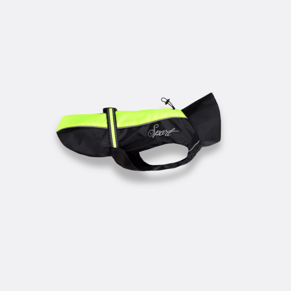 Hunde regnjakke grønn