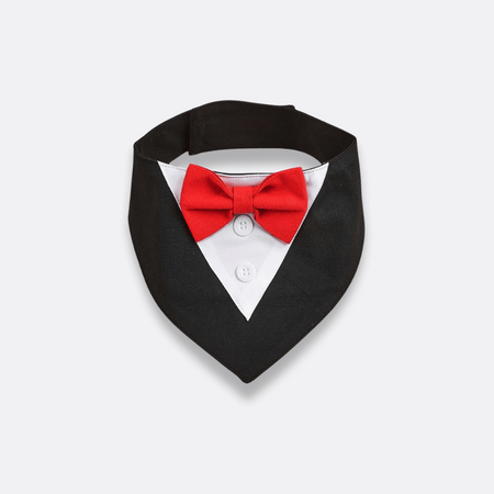 Sløyfe til hund svart og rød