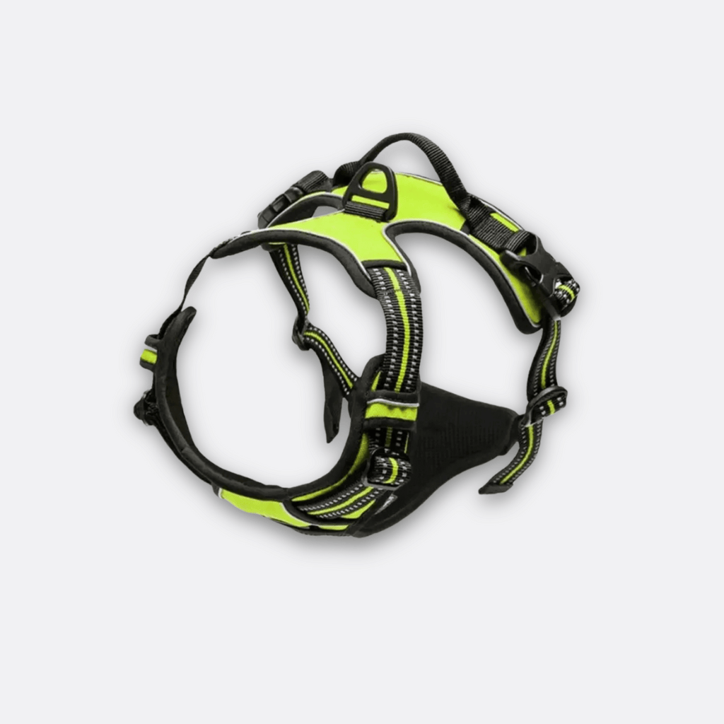 Hundesele X1 fra Truelove neon grønn