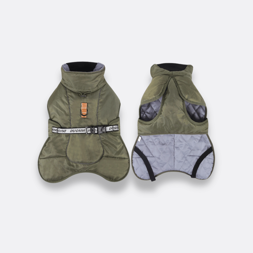 Polyester vinterjakke stor hund grønn