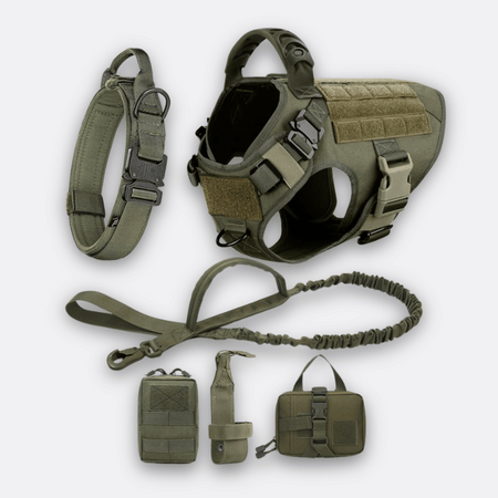 Taktisk Hundesele grønn sett