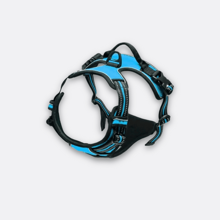 Hundesele X1 fra Truelove blå