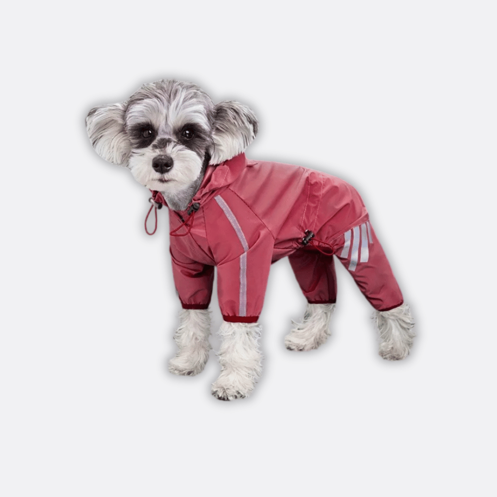 regnfrakk hund rosa på hund