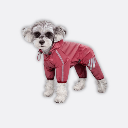 regnfrakk hund rosa på hund