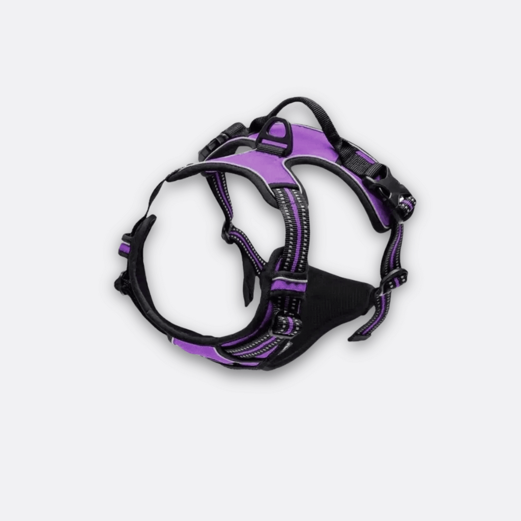 Hundesele X1 fra Truelove lilla