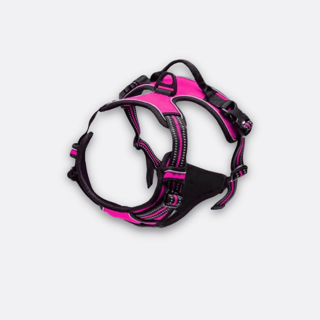 Hundesele X1 fra Truelove rosa