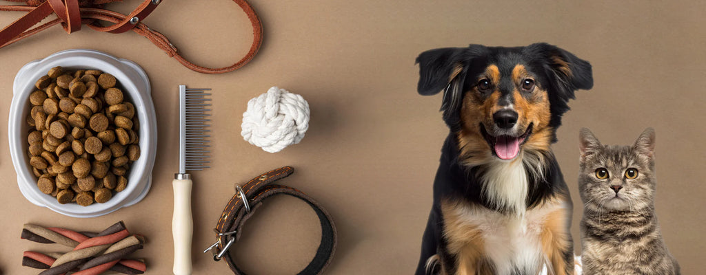 Dyrebutikk på nett hundeutstyr