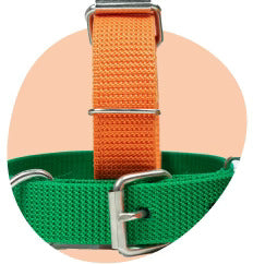 Dyrebutikk på nett hundeutstyr