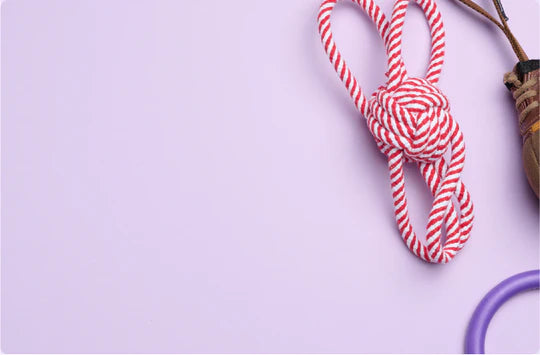 Dyrebutikk på nett hundeutstyr