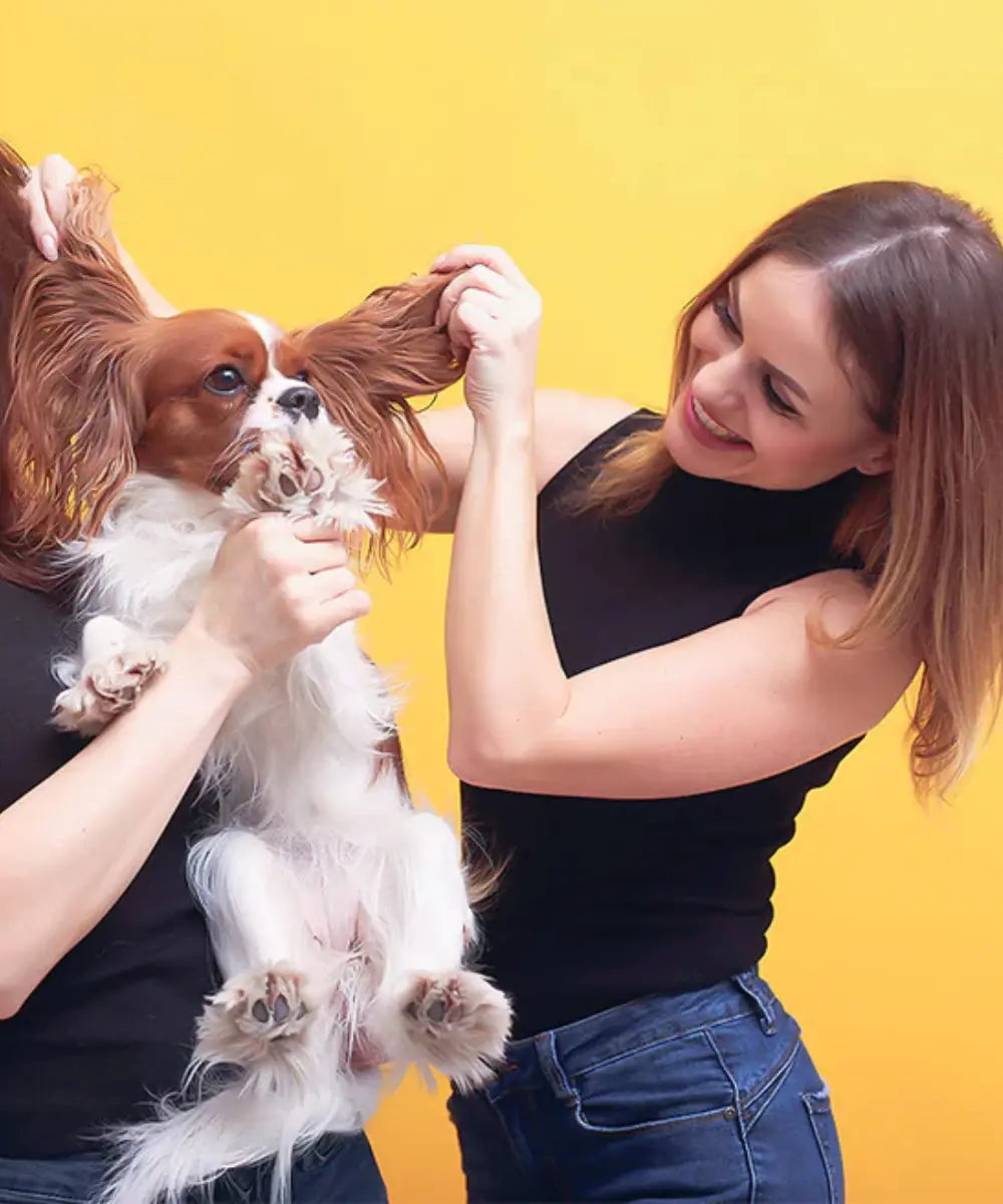 Dyrebutikk på nett pels og pleie