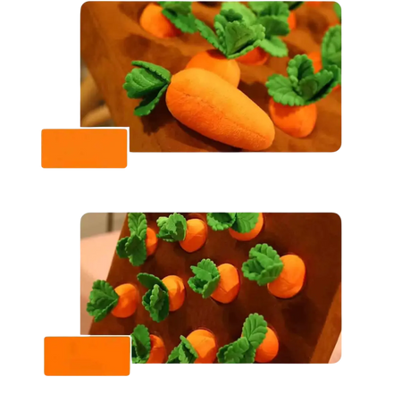 Snusematte 12 gulrøtter bilde