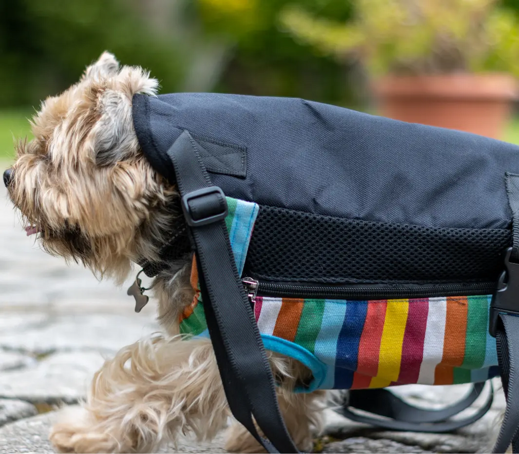 Bæresele hund