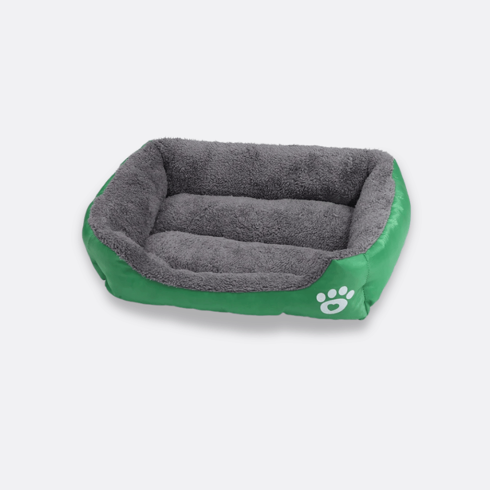 seng til hund grønn