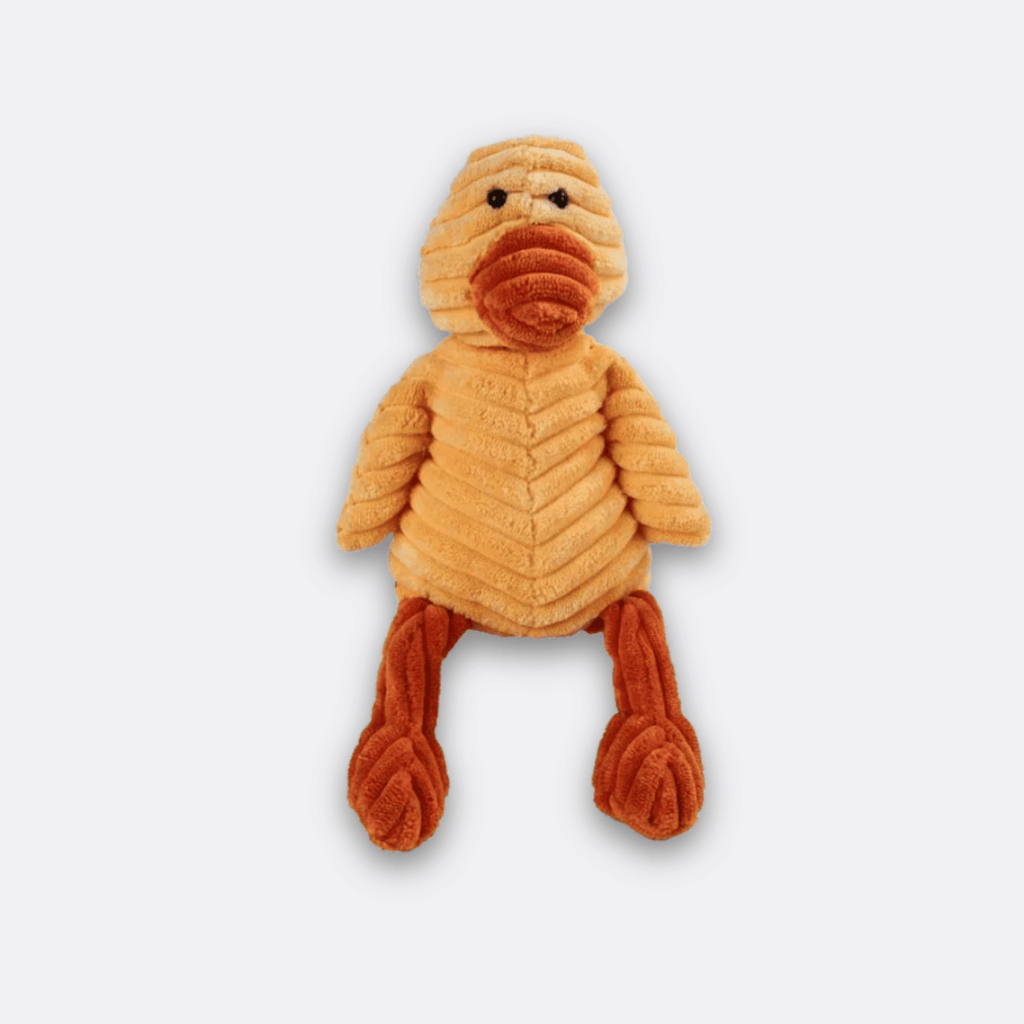 Kosebamse hund and