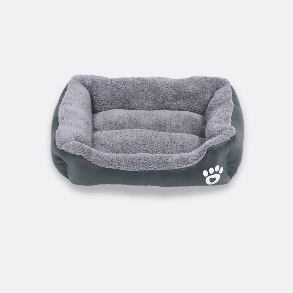 seng til hund grå