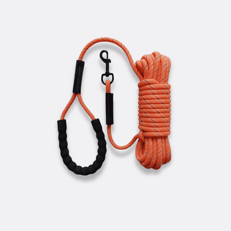Løpestreng hund