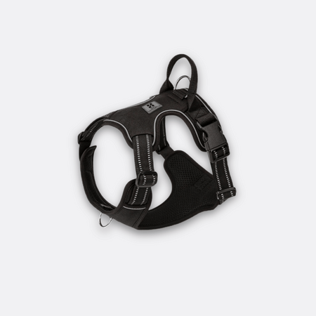 Antitrekksele Hund