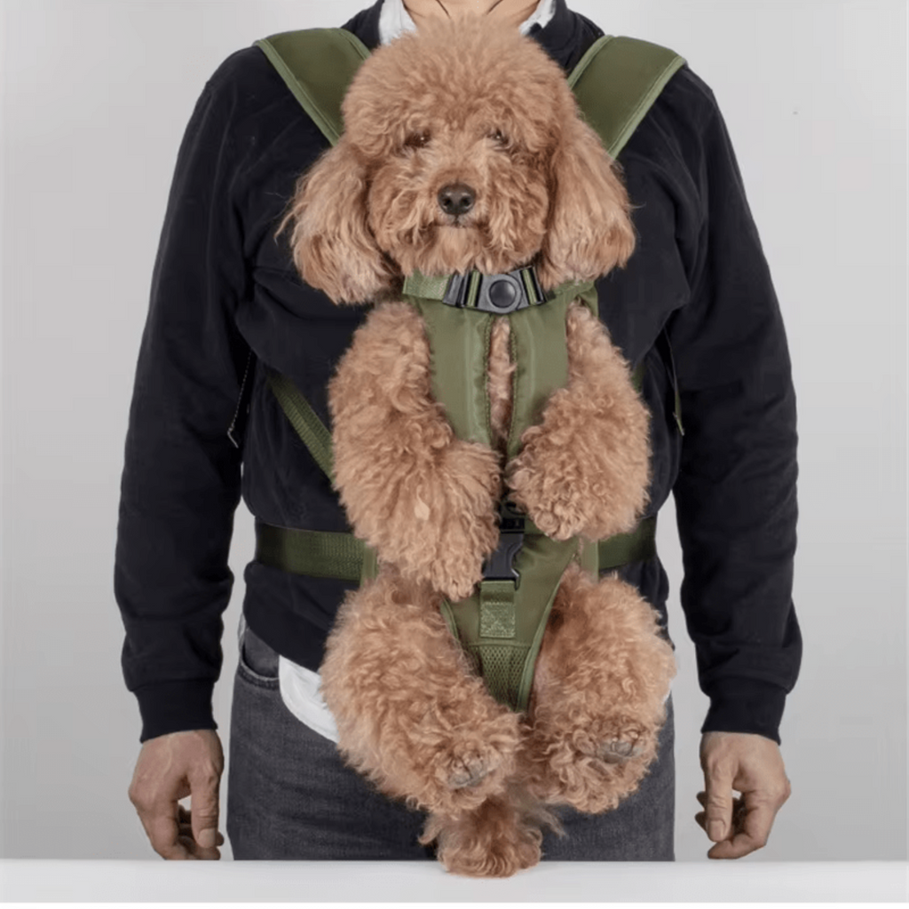 Bæresele Hund