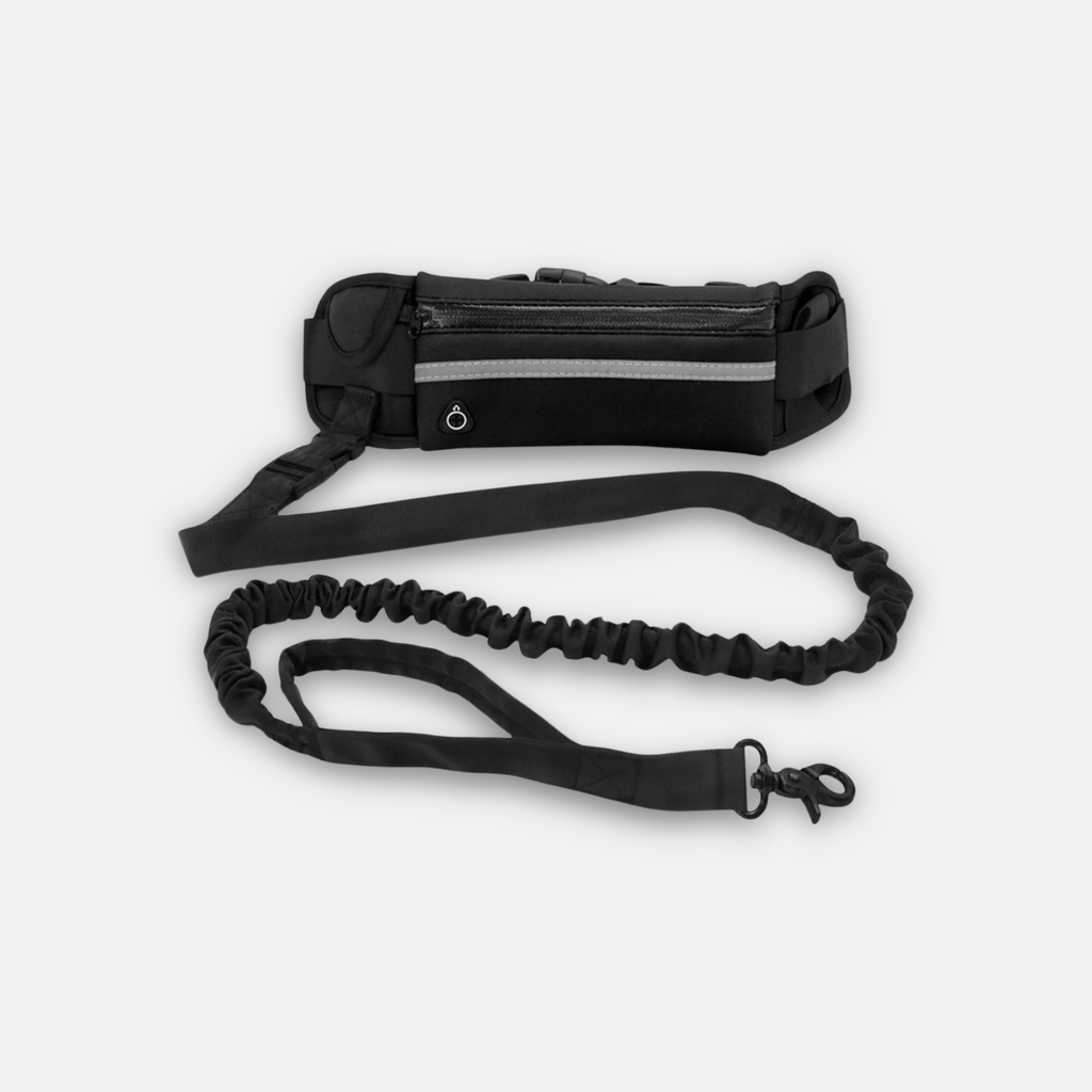 Magebelte hund med elastisk kobbel