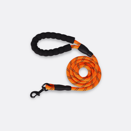Hundekobbel oransje