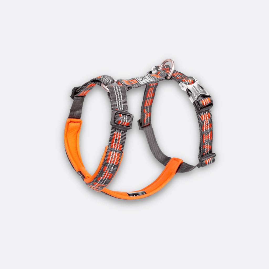 Hundesele - Truelove oransje grå