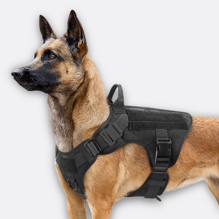 Taktisk Hundesele