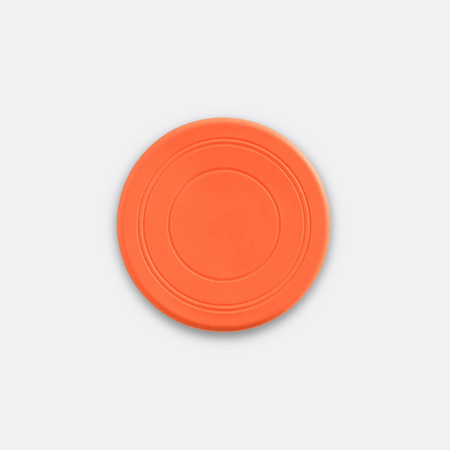 Frisbee hund oransje