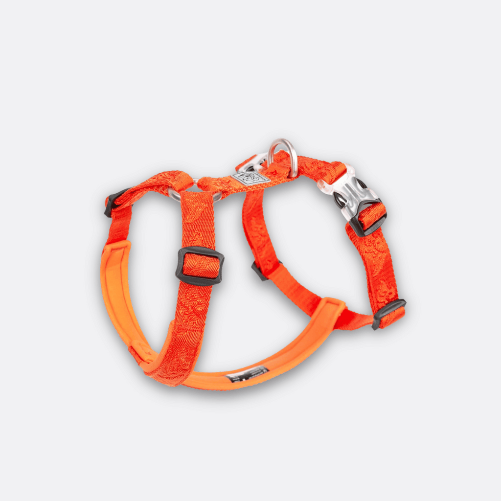 Hundesele - Truelove Oransje