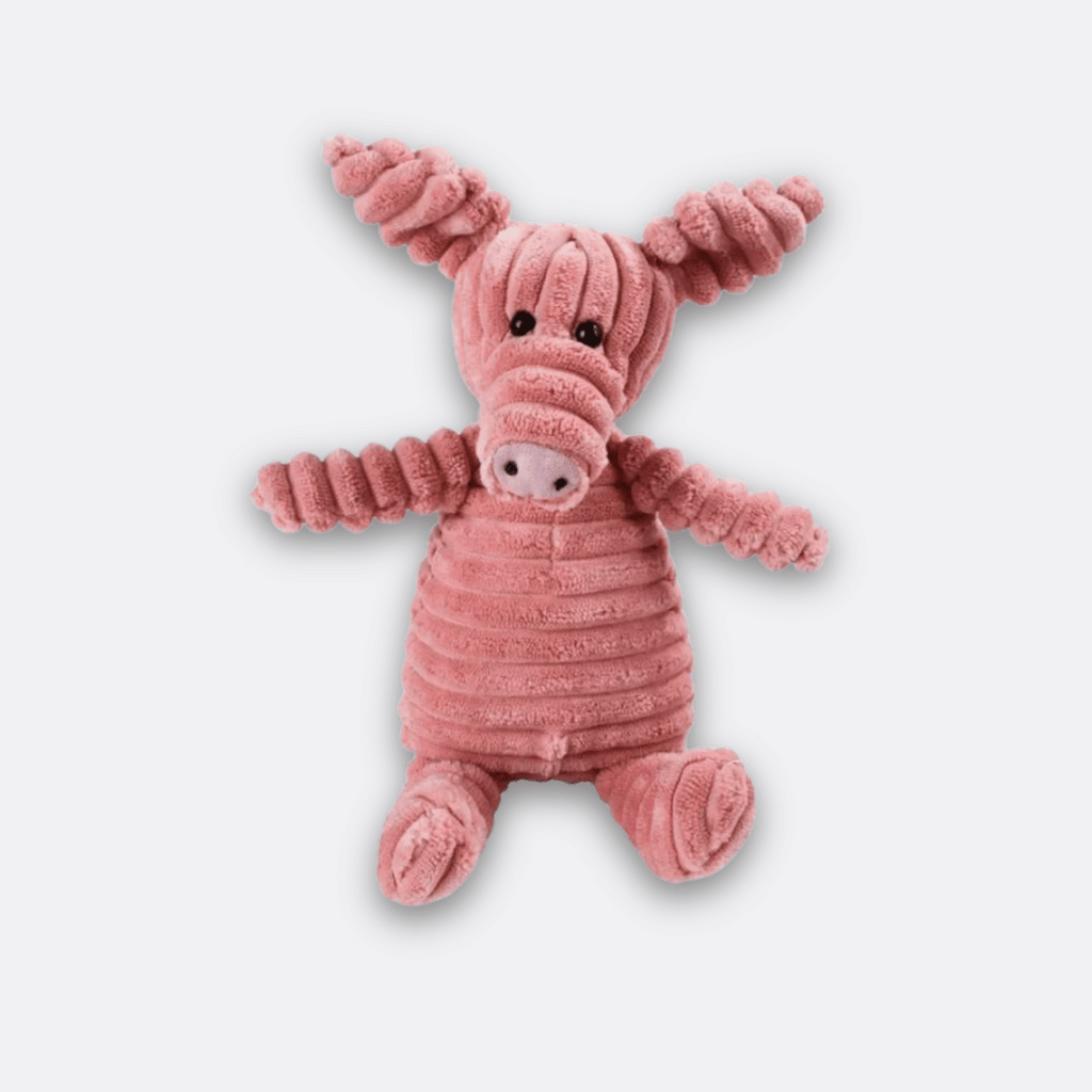 Kosebamse hund gris