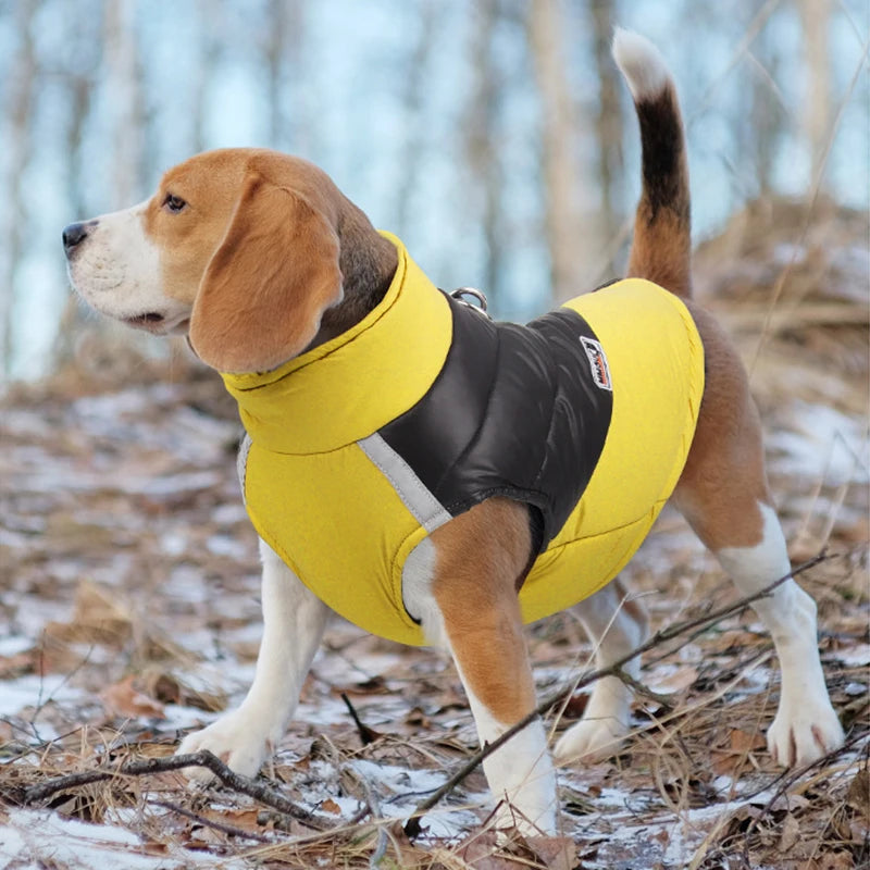 Vinterjakke hund i polyester gul på hund
