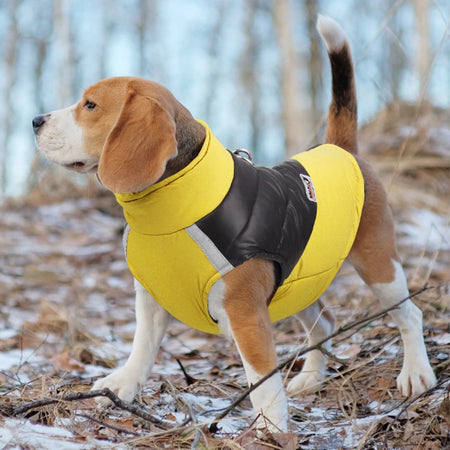 Vinterjakke hund i polyester gul på hund