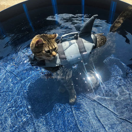 Flytevest hund hai-design på katt