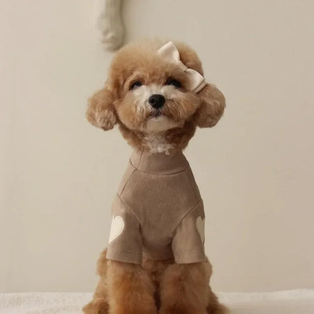 Polyester hundegenser Grå