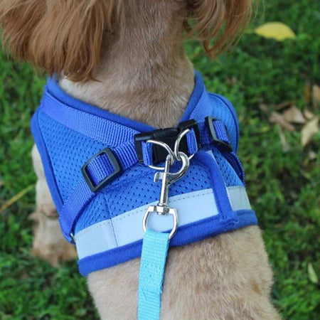 Valpesele Justerbar med Refleks blå på hund