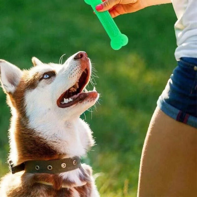 Hundebein i gummi med hund