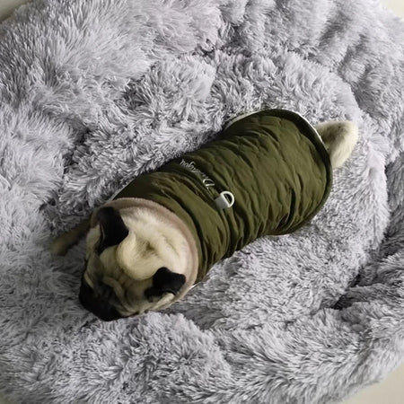 Vanntett Hundejakke for Små Hunder grønn på hund