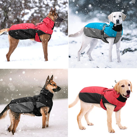 vanntett hundejakke med refleks alle farger