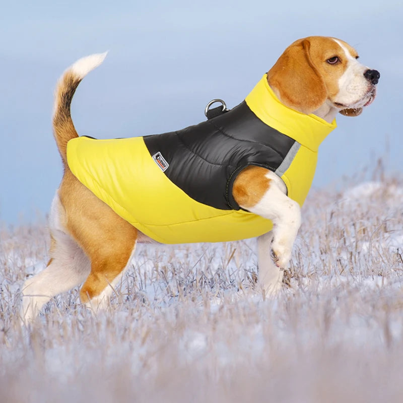Vinterjakke hund i polyester gul på hund