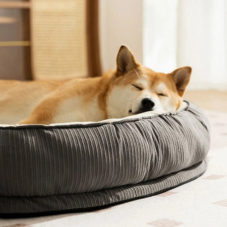 Myk hundeseng med memory foam med hund på