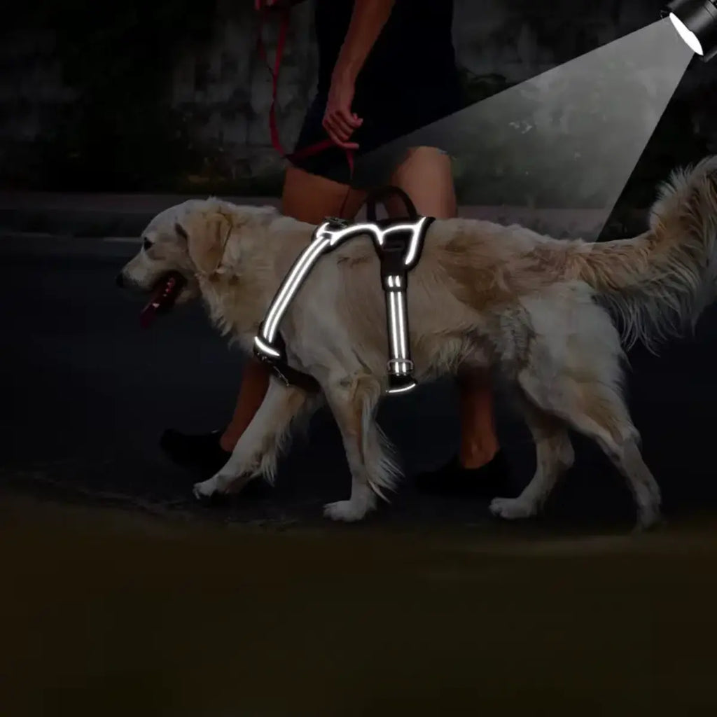 Hundesele med Håndtak i mørket