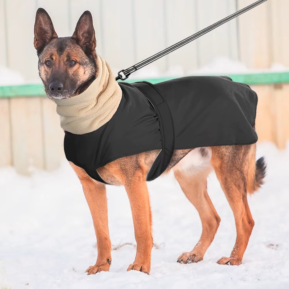 Varm og vanntett hundejakke svart på hund